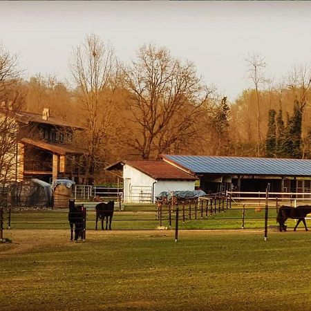 Cameloth B&B Settimo Rottaro Екстер'єр фото